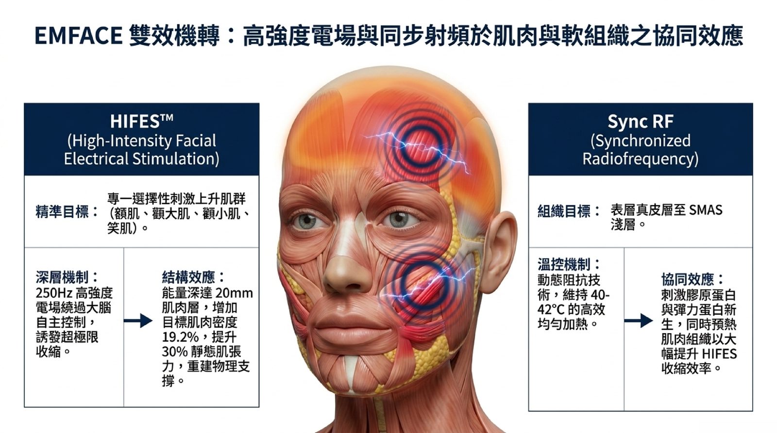 EMFACE 雙效機轉示意:HIFES 高強度電場選擇性刺激額肌、顴大肌、顴小肌等上升肌群產生超極限收縮,同步 3.2MHz 射頻加熱真皮至 SMAS 淺層