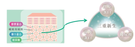 精靈電波三重新生原理:刺激膠原蛋白、彈力蛋白與玻尿酸再生