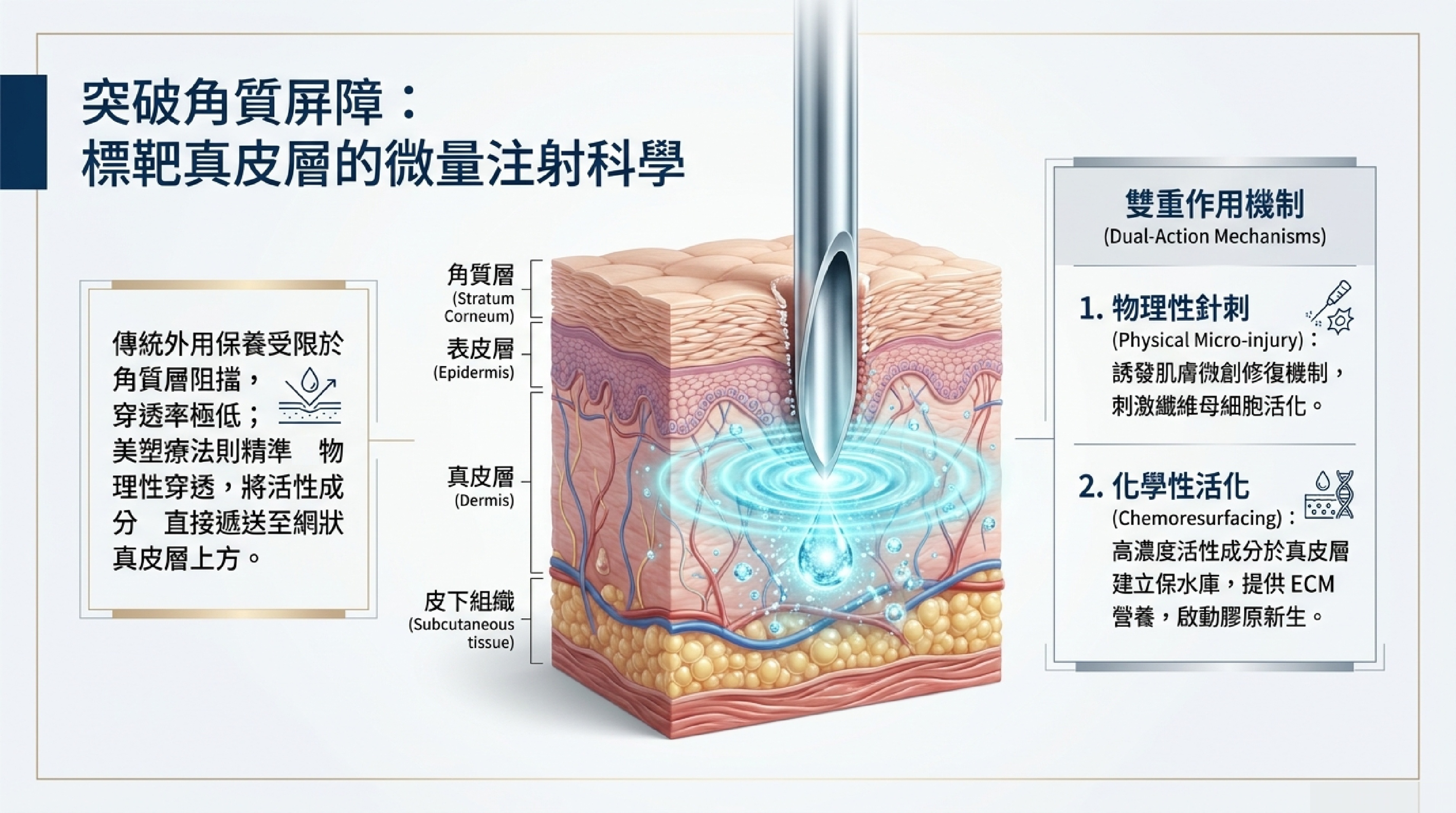 美塑療法作用原理:微量注射突破角質層屏障,將活性成分直接遞送至真皮層,並以物理性微創與化學性活化雙重機制作用