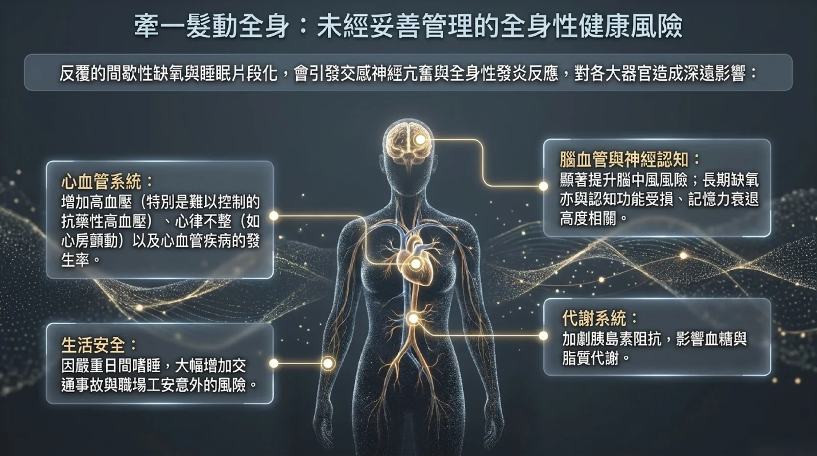 未經妥善管理的睡眠呼吸中止與全身健康:反覆間歇性缺氧與睡眠片段化,與高血壓、心律不整、腦中風、認知功能、胰島素阻抗及交通事故風險相關