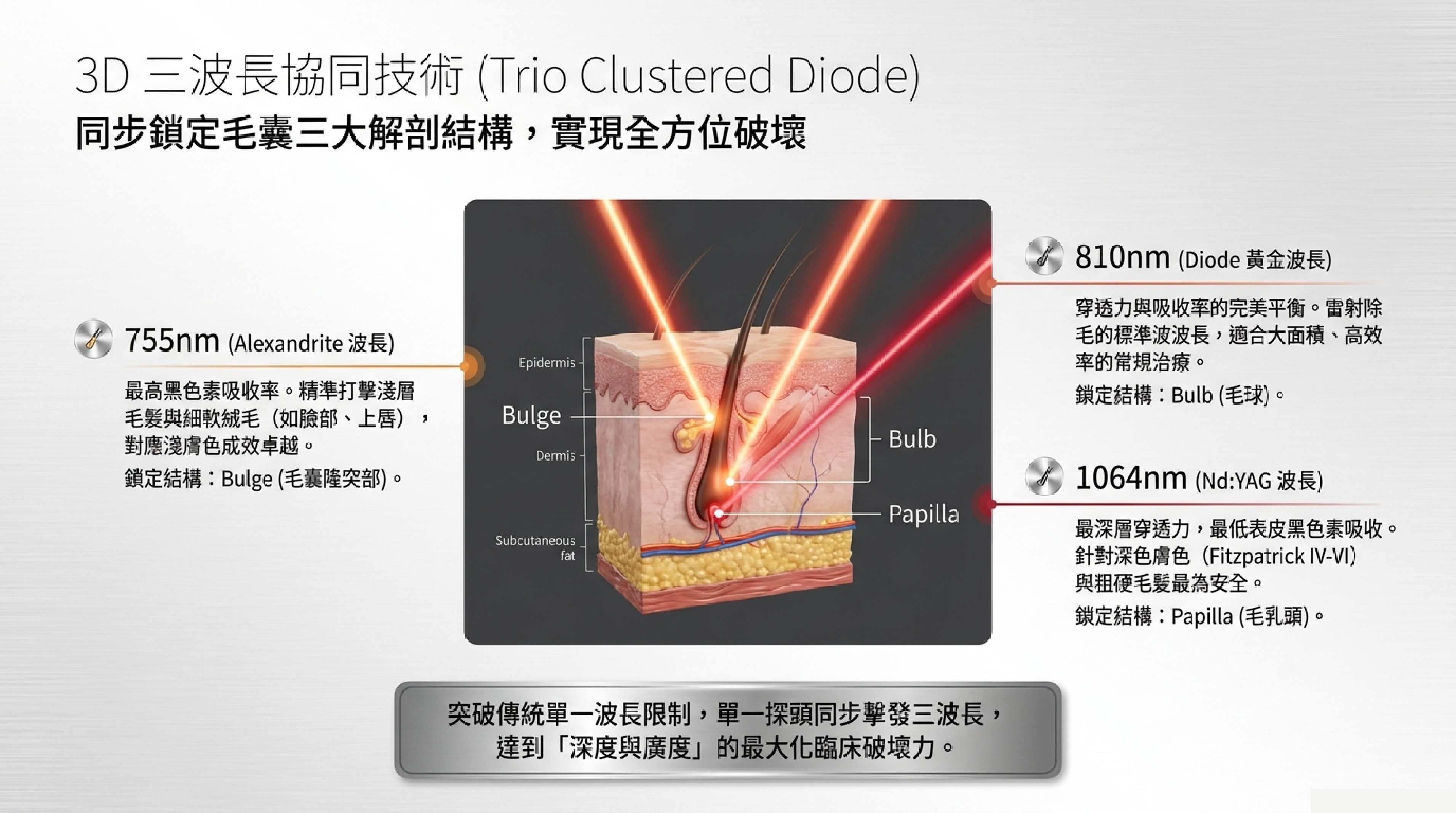 Soprano Titanium 3D 三波長協同技術 Trio Clustered Diode:755nm、810nm、1064nm 同步擊發毛囊三大解剖結構